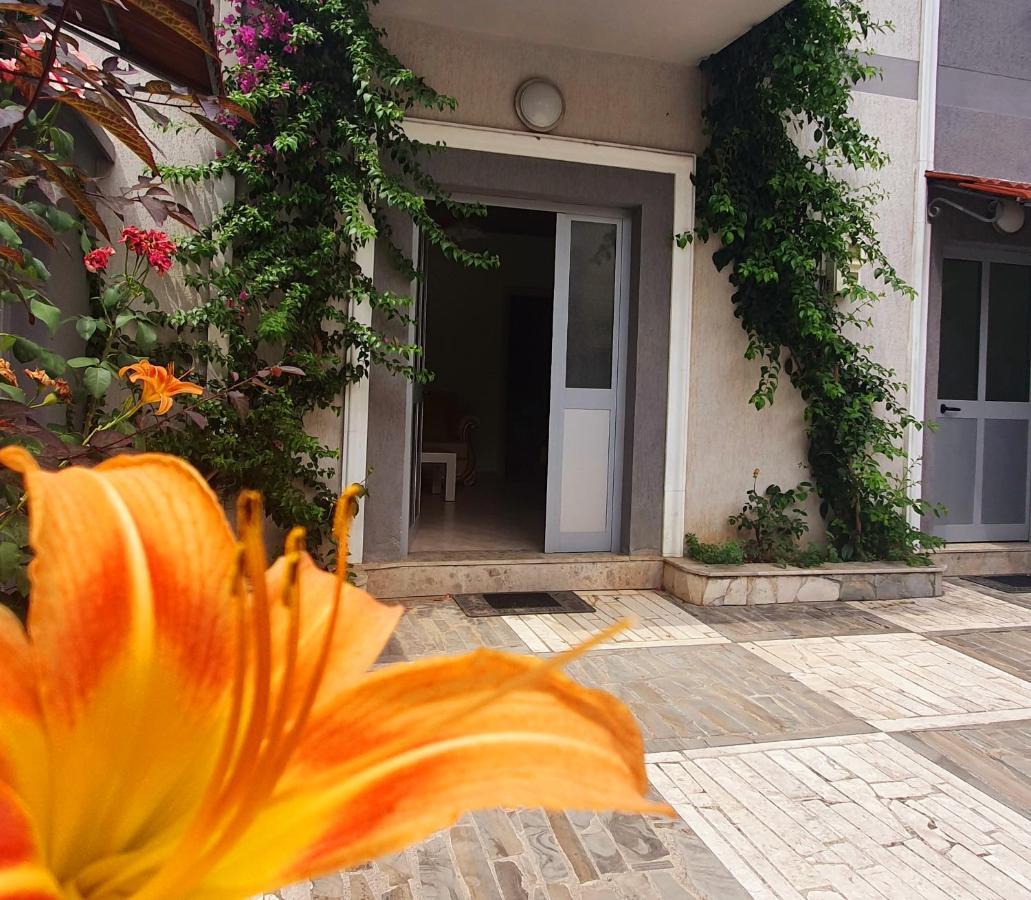 A Cheerful Villa With Free Parking Space Tiranë Eksteriør bilde