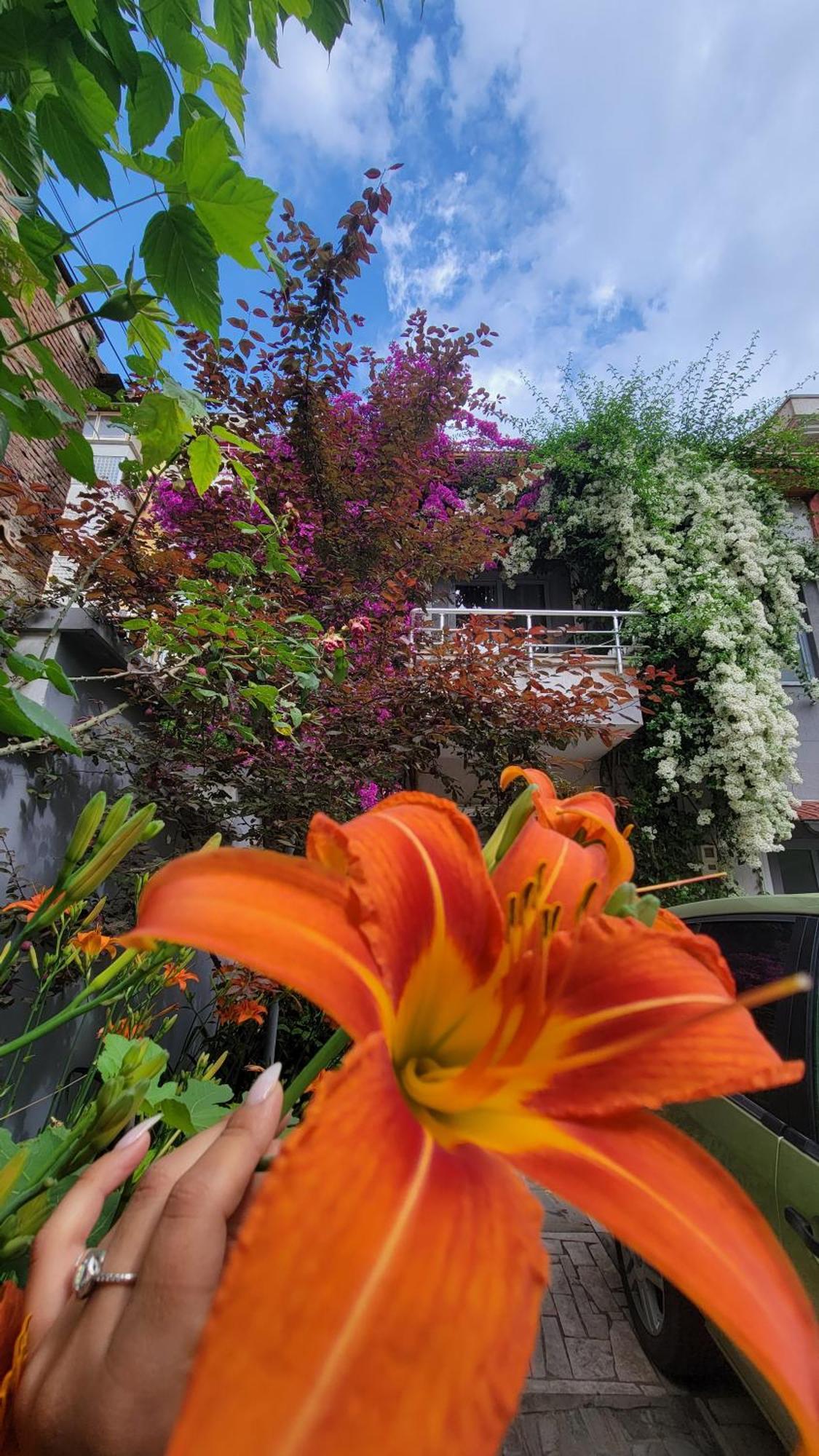 A Cheerful Villa With Free Parking Space Tiranë Rom bilde